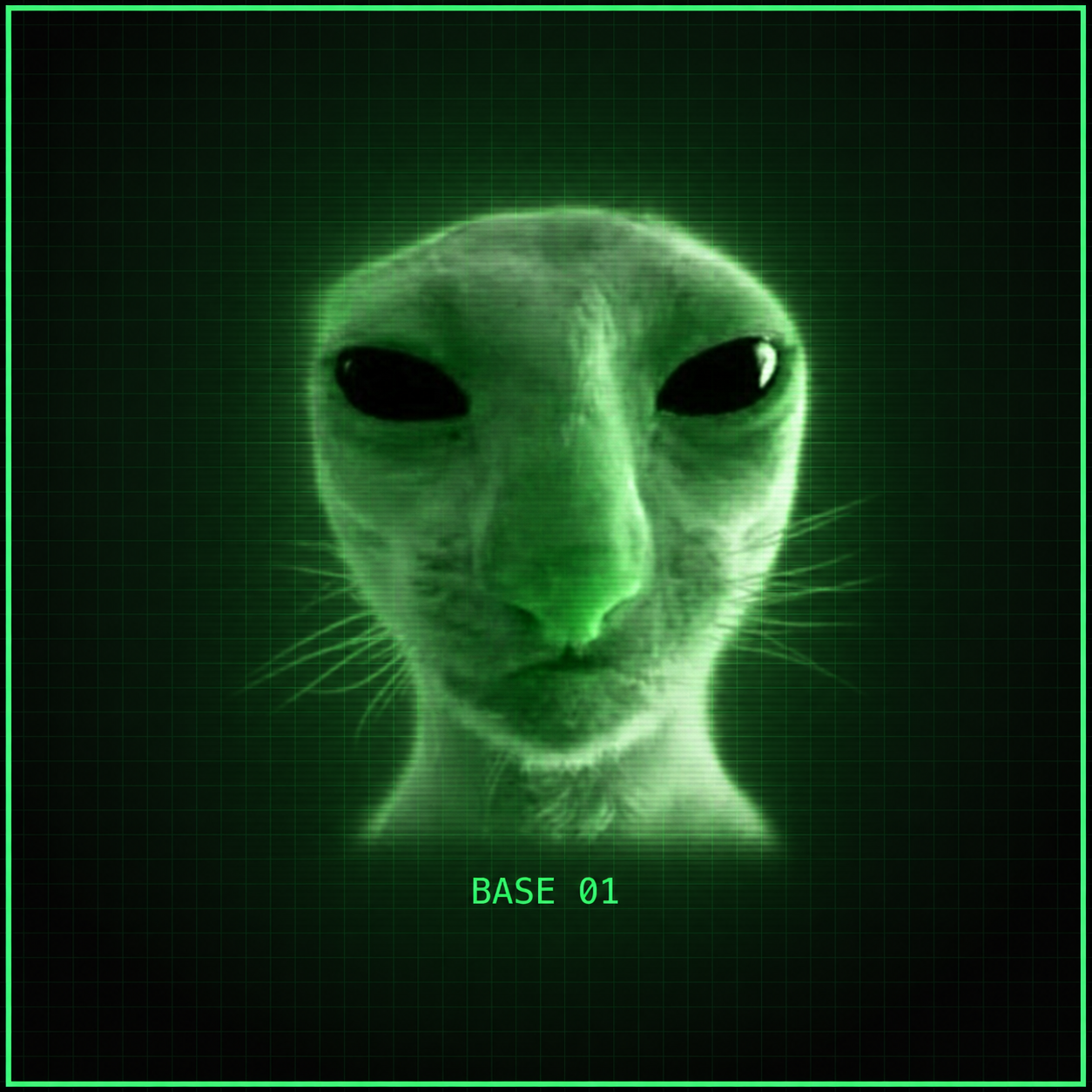 Base image 1